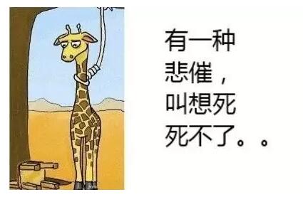 1.jpg 1.jpg