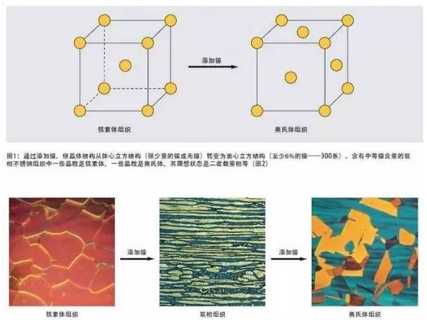 元素分析儀 元素分析儀